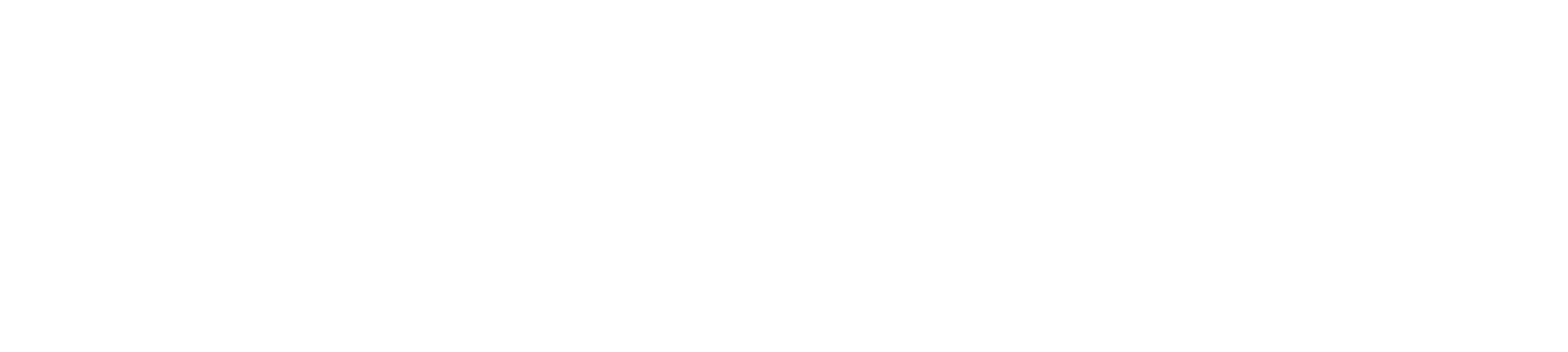 Storyblocks-logo_white-1